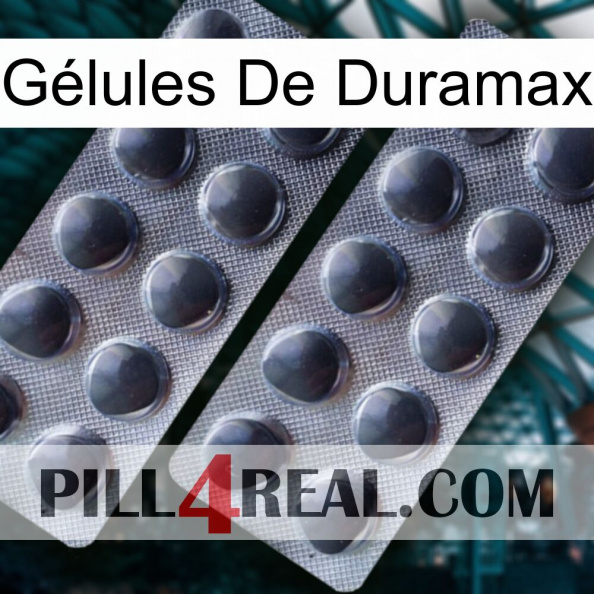 Gélules De Duramax 31